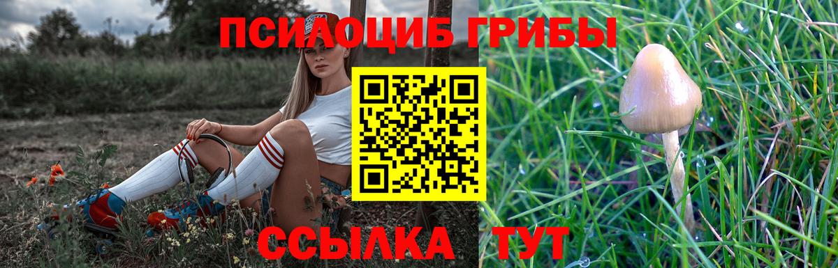 Галлюциногенные грибы мухоморы Магнитогорск
